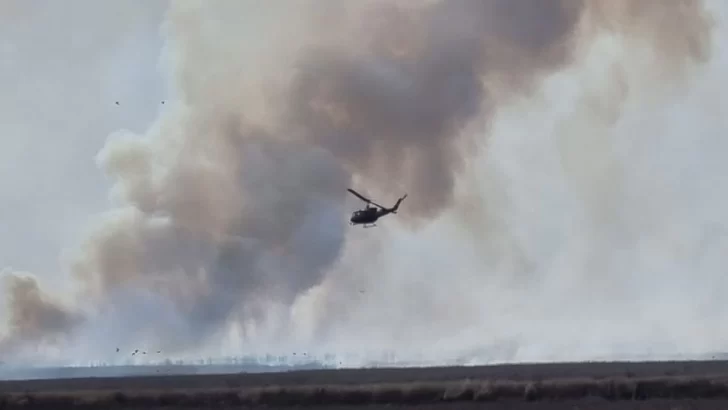 Las quemas siguen avanzando y ayer hubo focos frente a Oliveros y Timbúes