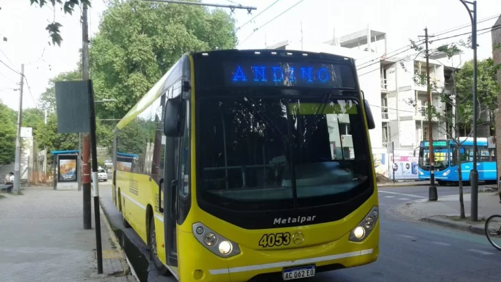 Perdió su celu en un colectivo hacia Andino y pide ayuda para recuperarlo