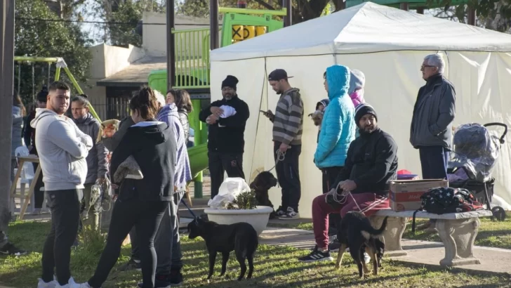 Se realizaron casi 100 esterilizaciones en la última jornada de castración en Timbúes