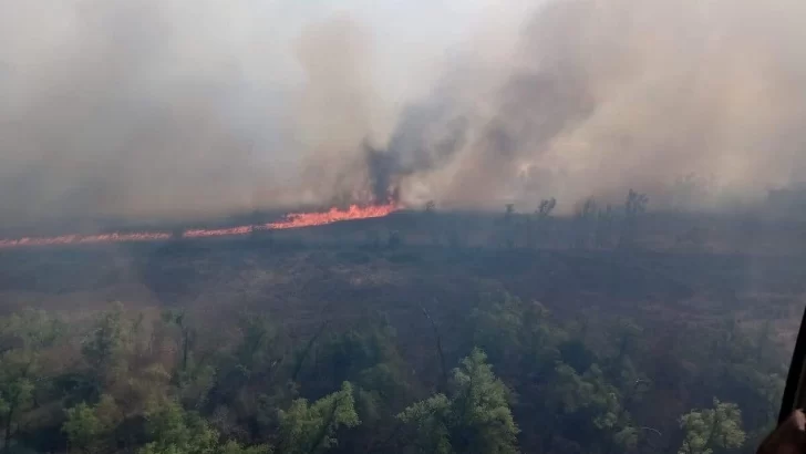 Denunciaron quemas intencionales en el Parque Nacional Islas de Santa Fe