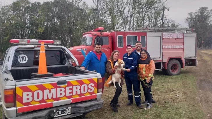 Héroes a diario: Bomberos rescataron a una perrita en la barranca del Carcarañá