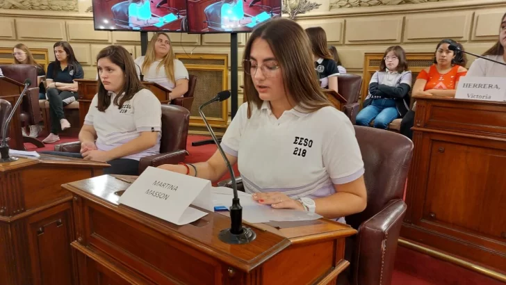 Salud y viviendas las necesidades que los chicos de la 218 presentaron en el senado