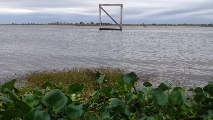 El Paraná volvió a superar los 2,47 metros en Rosario, después de un año y medio