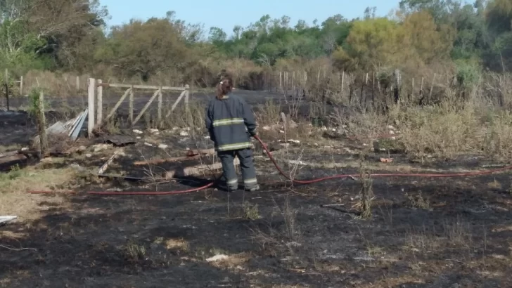 Ardió en llamas parte de un campo en Oliveros: Bomberos trabajaron cerca de 4 horas