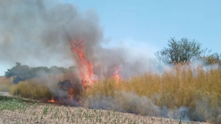 Un importante incendio se desató en la zona norte de Timbúes