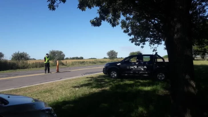 Indignante: Le robaron sus dos vacas lecheras del campo en Carrizales