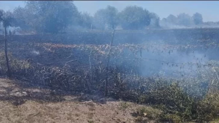 Dejó la brasa del asado y se prendió fuego el terreno pegado a la estación de servicio