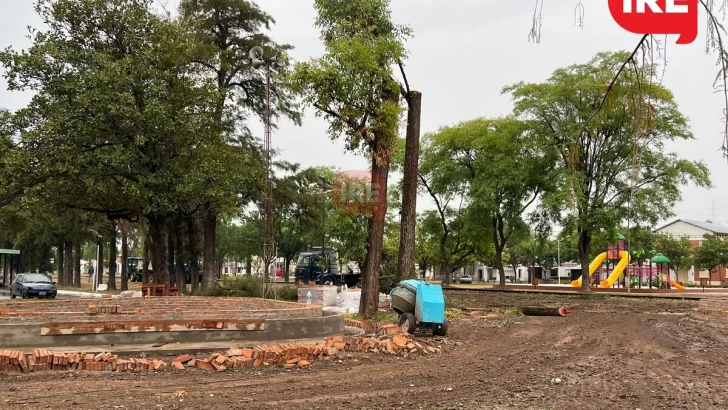 Nuevo paseo en Oliveros: Quitan un Árbol, podan tres y plantarán ocho nativos