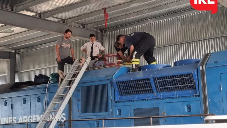 Un operario de Trenes tuvo un fuerte golpe en la cabeza en la central de La Ribera