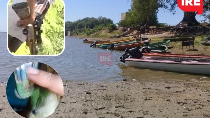 Mataron casi una veintena de aves en Puerto Aragón: “Necesitamos una ordenanza”