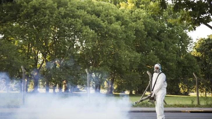 Monje realizará fumigaciones para mitigar la presencia de mosquitos y prevenir Dengue