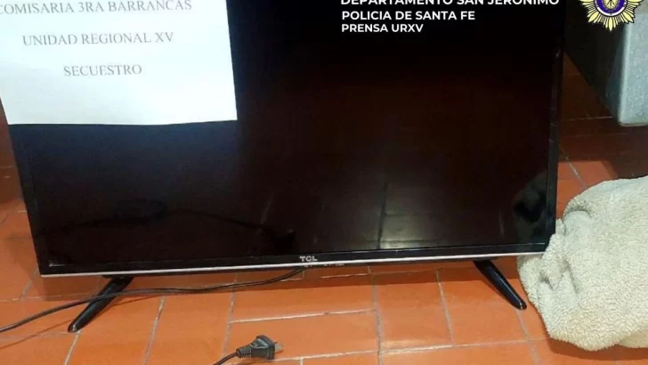 Hallaron escondido en unos arbustos un televisor robado a una abuela