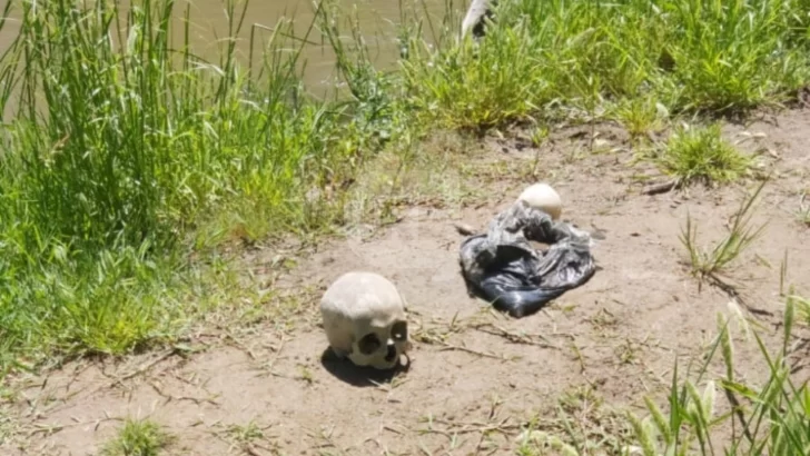 Macabro hallazgo: Detectaron huesos humanos en una isla de Parques Nacionales