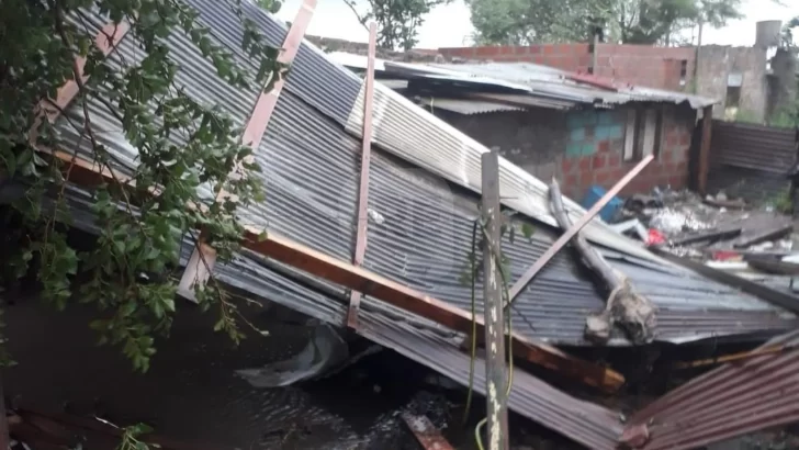 Fuerte temporal en la región: Árboles caídos, calles anegadas y voladura de techos