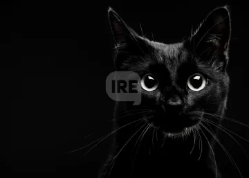 El mito del martes trece: Una fecha cargada de supersticiones
