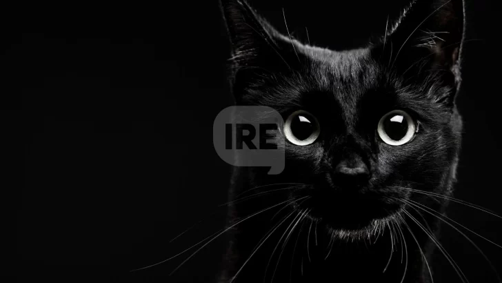 El mito del martes trece: Una fecha cargada de supersticiones