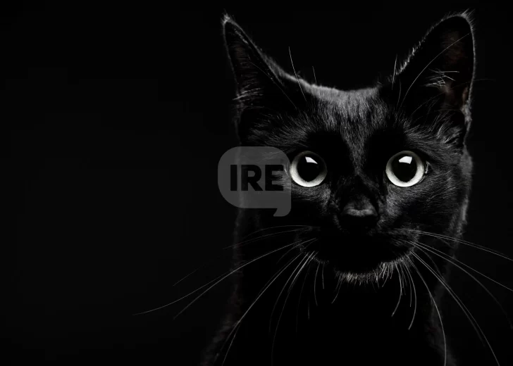 El mito del martes trece: Una fecha cargada de supersticiones