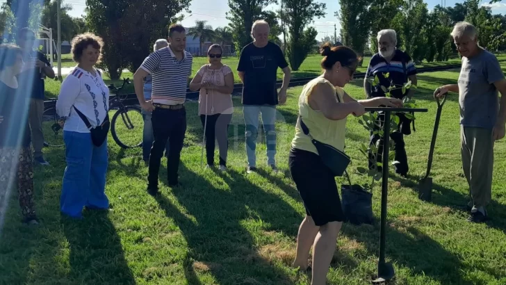 Memoria y homenaje: Oliveros plantará un árbol en reconocimiento a los caídos de Malvinas