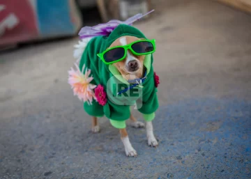 Monje celebrará el día del animal en el predio del ferrocarril con juegos, sorteos y concursos