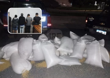 Boquilleo en el cordón: Allanaron y detuvieron a tres personas con 1.500 kilos de cereal robado