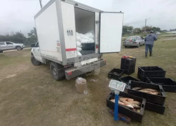 Control sorpresa: Sancionaron a trabajadores del río por entregar pescado días no autorizados