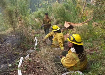 Cuarenta brigadistas santafesinos combaten incendios en la Patagonia: “Hay gente y viviendas en peligro”