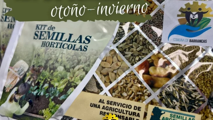 Ya están disponibles los kits de semillas otoño/invierno para horticultores de Barrancas