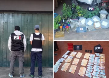 Usaban lámparas LED robadas del alumbrado público para un vivero de marihuana: cuatro aprehendidos en Rosario