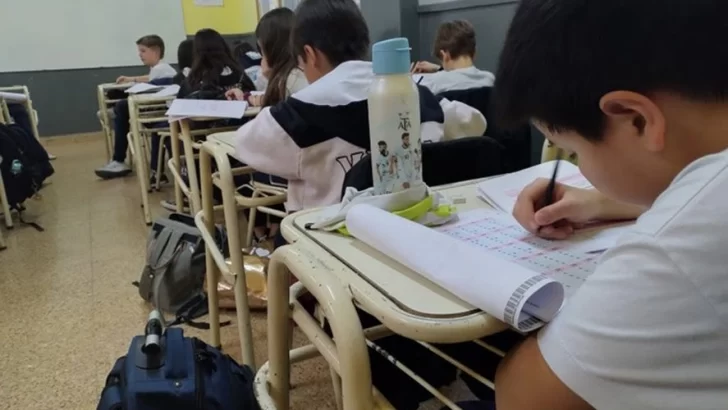 Evaluación de lectura: sólo 1 de cada 4 alumnos de primaria lee bien y Provincia alerta sobre una “catástrofe educativa”