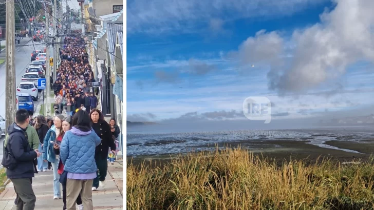 Alerta en Tierra del Fuego tras el sismo en Chile: Suspenden actividades en el Canal Beagle y evacúan Puerto Almanza