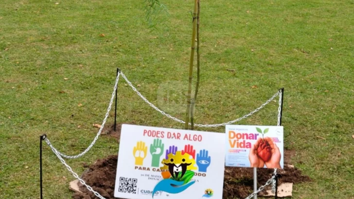 Barrancas se sumó a la campaña “Plantemos una semilla de esperanza” por la donación de órganos