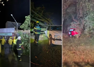 Fuerte temporal en Totoras: Un auto despistó en ruta 34, hubo caída de árboles y calles anegadas