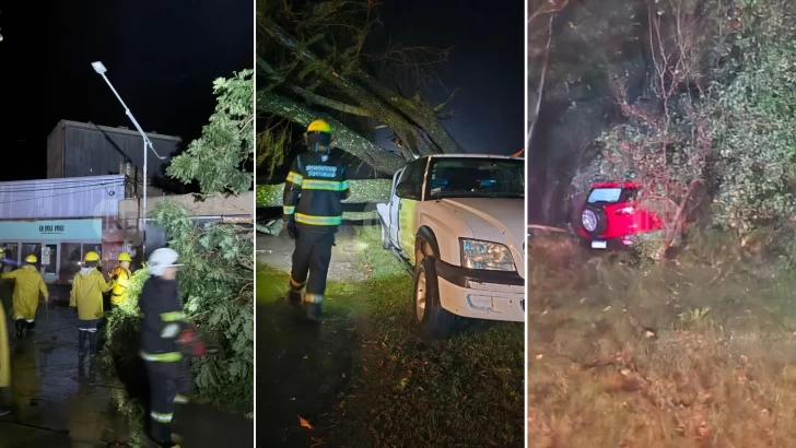 Fuerte temporal en Totoras: Un auto despistó en ruta 34, hubo caída de árboles y calles anegadas