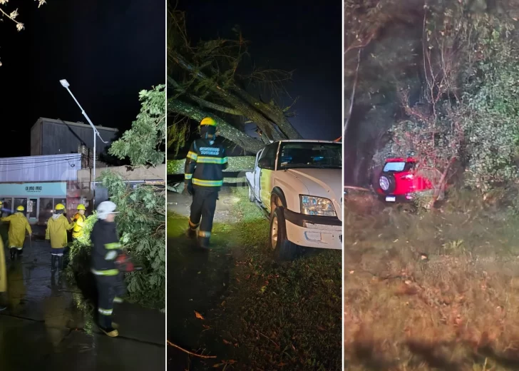 Fuerte temporal en Totoras: Un auto despistó en ruta 34, hubo caída de árboles y calles anegadas
