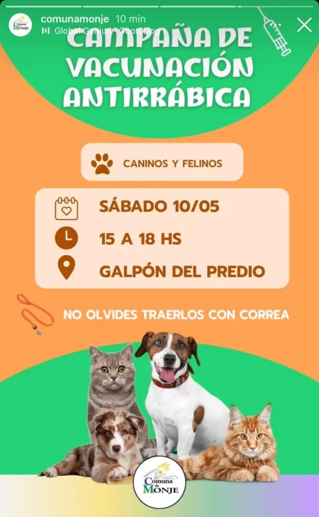WhatsApp-Image-2025-05-06-at-09.16.05-450x728