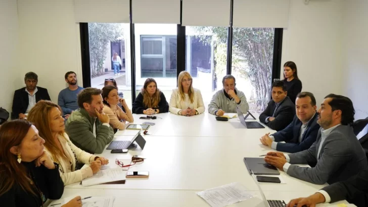 Diputados recibieron al ministro de trabajo: conflictos laborales, apertura de importaciones y mejoras legislativas los temas que trataron