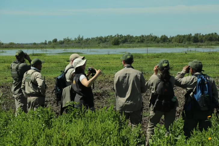 El Parque Nacional Islas de Santa Fe celebra el Global Big Day con avistaje de aves