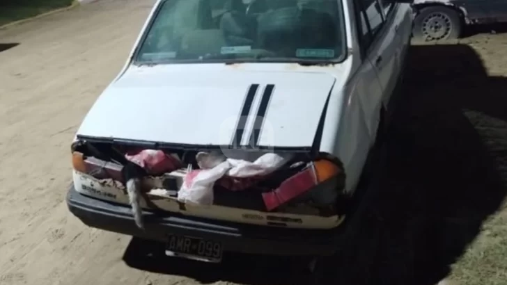Detuvieron a un Galvense en Cayastá mientras trasladaba ocho terneros en un Peugeot 504
