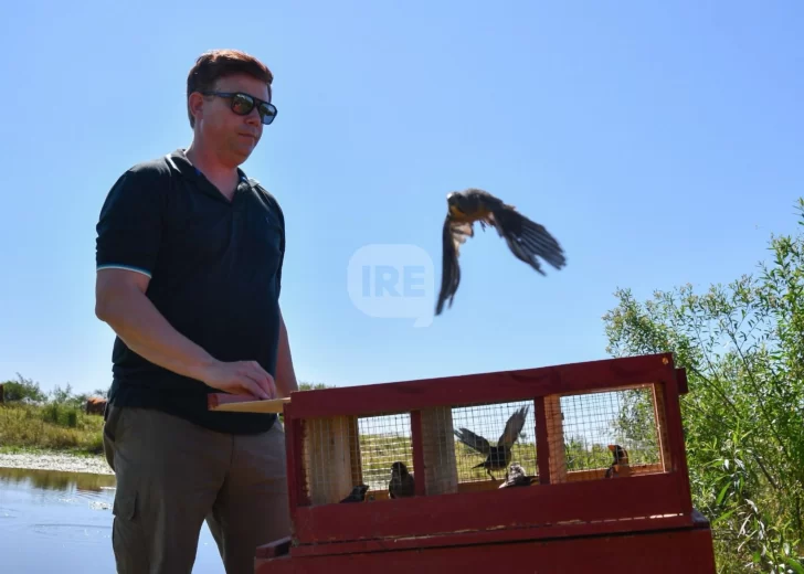 Liberaron aves silvestres rescatadas cerca de Desvío Arijón