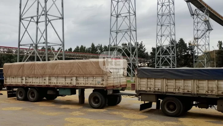 Tragedia en Renova: Se conoció la identidad del camionero que murió en la playa de maniobras Tragedia en Renova: Se conoció la identidad del camionero que murió en la playa de maniobras