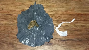 Demoraron a un joven de Coronda con envoltorios de marihuana durante un control en Ruta 11