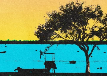 Puerto presenta la primera edición de Quebracho Fest con música, juventud y cultura frente al río