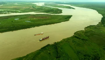 El Río Paraná registra el nivel más alto de glifosato en Sudamérica