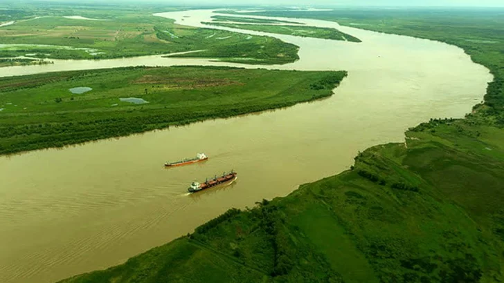 El Río Paraná registra el nivel más alto de glifosato en Sudamérica