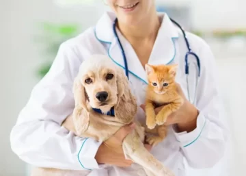 Puerto refuerza la salud animal con jornadas de vacunación y desparasitación