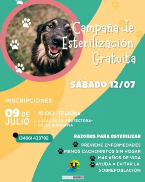 👉🏻Nueva-campana-de-castraciones-gratuitas‼️-582x728
