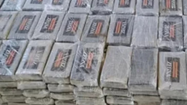 Allanaron el puerto de Zárate luego de detectar 221 kilos de cocaína en un cargamento con destino a Bélgica