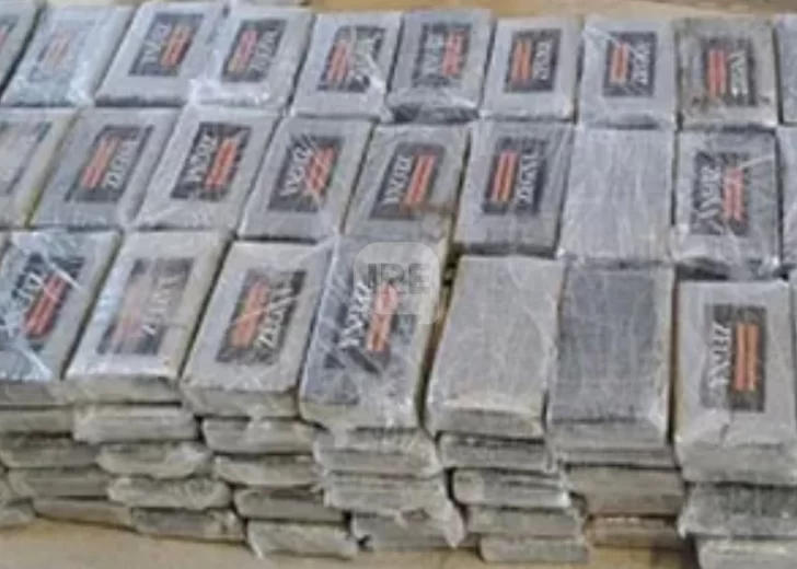 Allanaron el puerto de Zárate luego de detectar 221 kilos de cocaína en un cargamento con destino a Bélgica