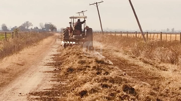Carrizales avanza con trabajos de mantenimiento en sus caminos rurales