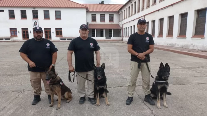 La intervención de Bono: un perro de la PDI detectó marihuana en un insólito escondite